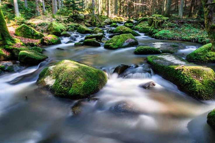 Umwelt- und Verbraucherschutz - © Sharidan / fotolia